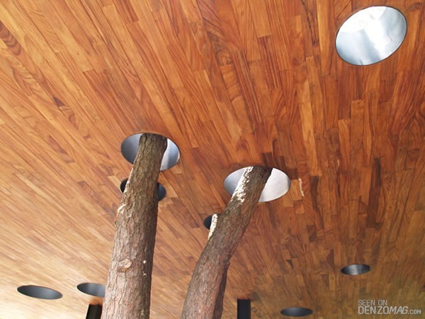 Una_Casa_suenos_medio_bosque_5